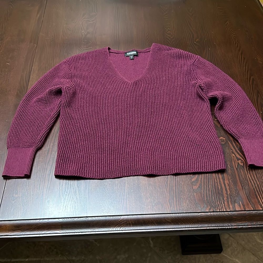 Express V-neck Sweater Size Large